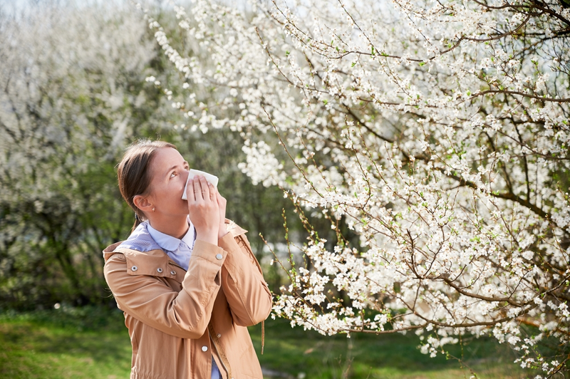 5 Ways to Combat Seasonal Allergies