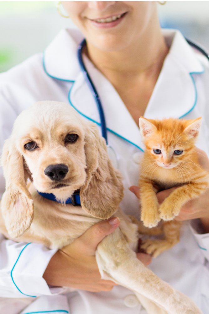 vet with dog and cat